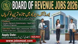 Board of Revenue Punjab Jobs 2026: Software Engineer, Network Admin & Naib Qasid Posts