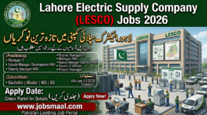 LESCO Jobs 2026: Contract-Based Positions for IT & ERP Professionals – Apply Online