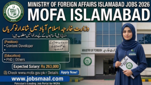 Ministry of Foreign Affairs Jobs 2026 – Apply for Content Developer
